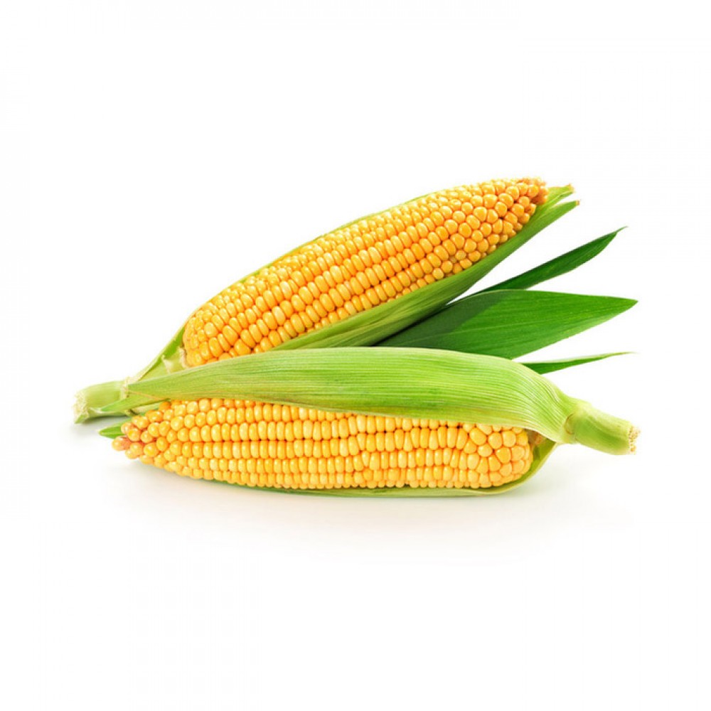 Corn / 玉米 2 piece