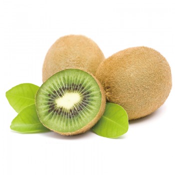 ITALY KIWI GREEN 意大利 青奇异果 XL 5pcs
