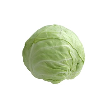 Cameron Cabbage / Kubis Cameron / 金马伦包菜 (1kg+-)