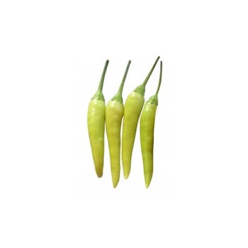 Bird Eye Chilli / Cili Padi / 白小辣椒 (50g)