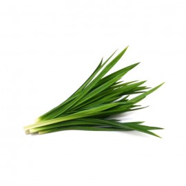 Pandan Leaf / Daun Pandan / 班兰叶 (200g)
