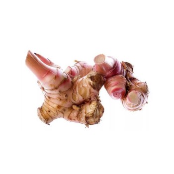 Galagal / Lengkuas Segar / 南姜 200g+-