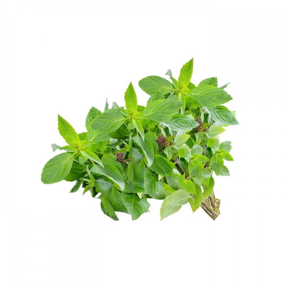 Sweet Basil Leaf 甜罗勒 (100g)