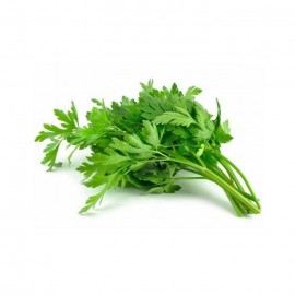 Daun sup / 芹菜 (100g)