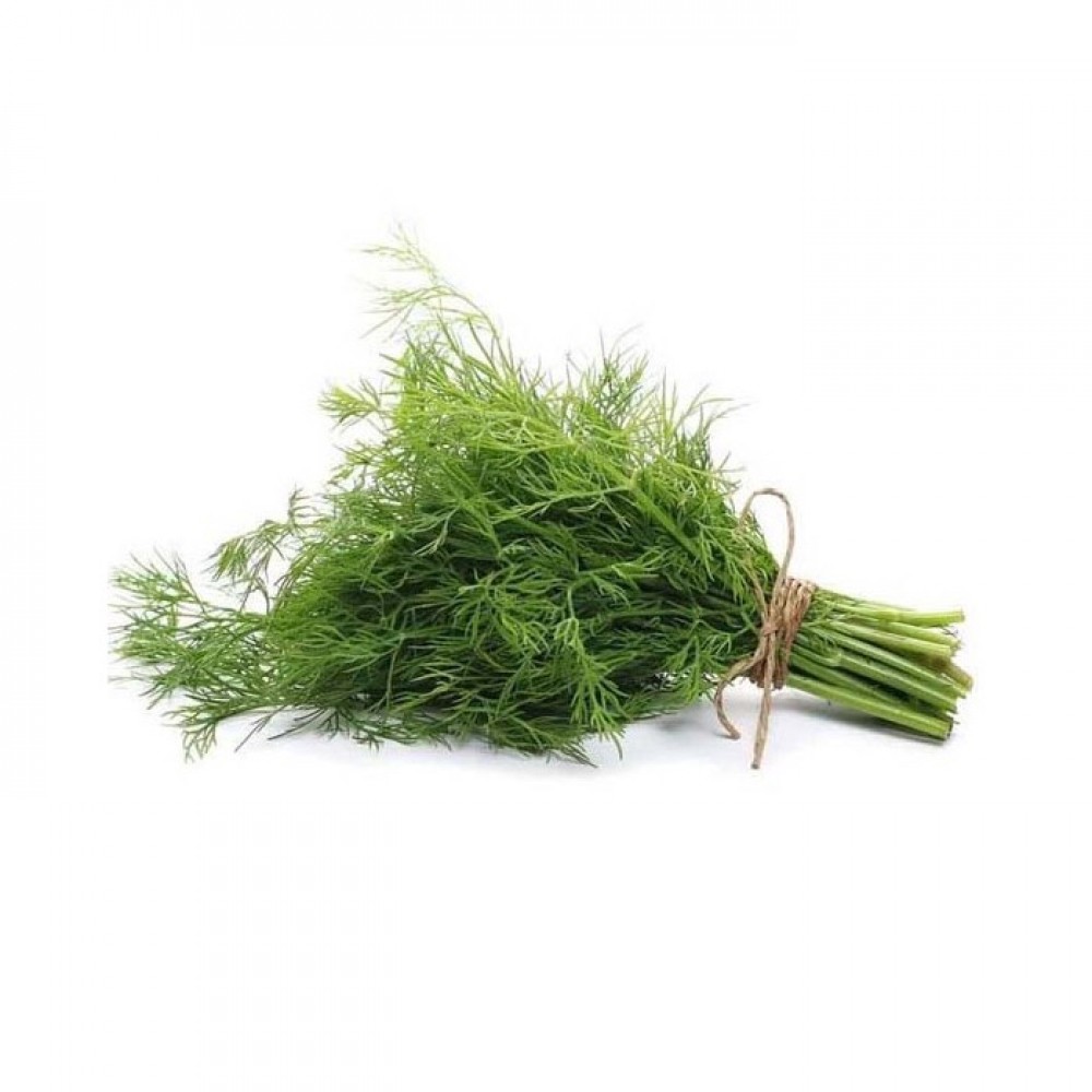 Dill 洋茴香 (100g)