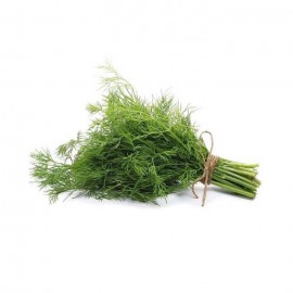 Dill 洋茴香 (100g)