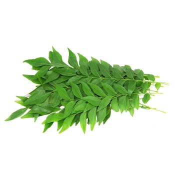 Curry Leaf / Daun Curry / 咖喱叶 (20g)