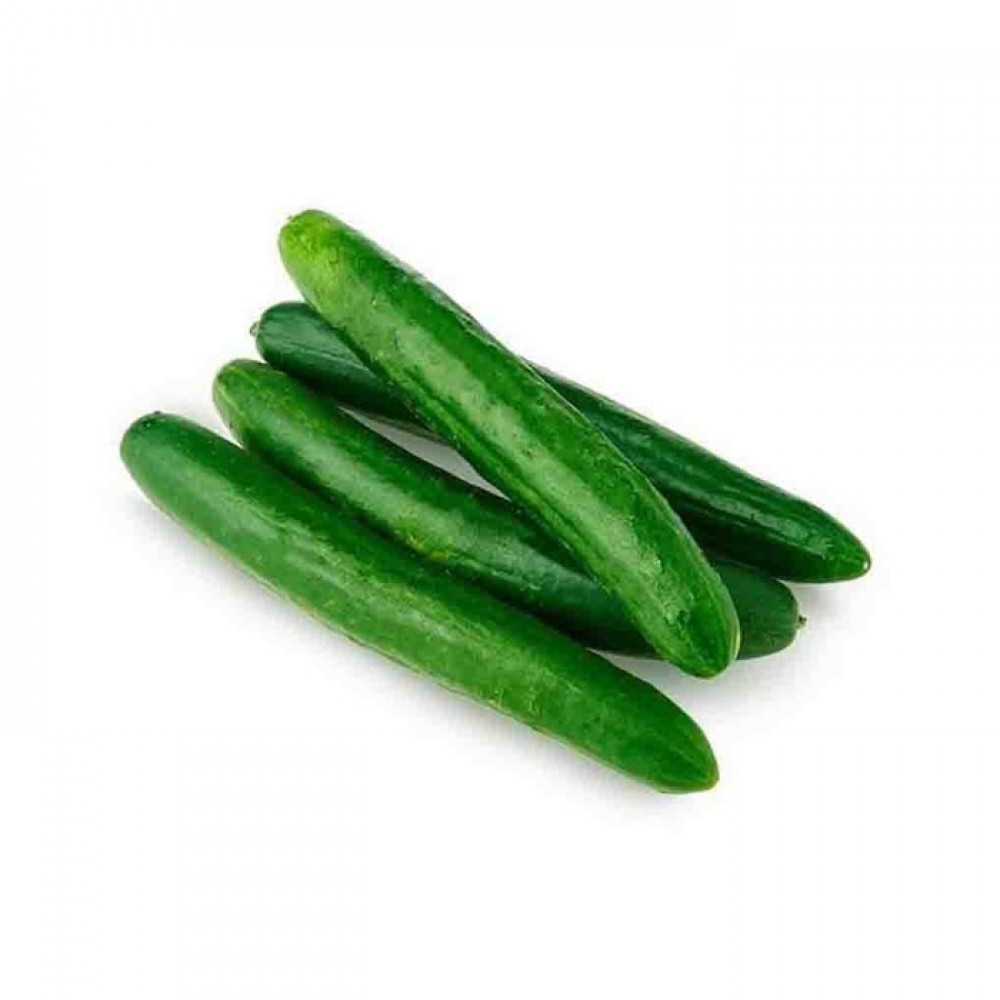 Japan Cucumber / Timun Jepun / 日本青瓜 (600g)