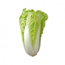 Chinese Cabbage / Kubis Putih / 白菜 0.9KG+- 小粒/半粒