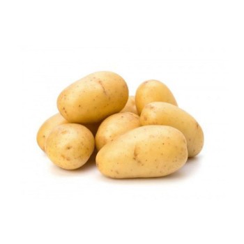 Potato / Ubi Kentang / 马铃薯 (500g+-)