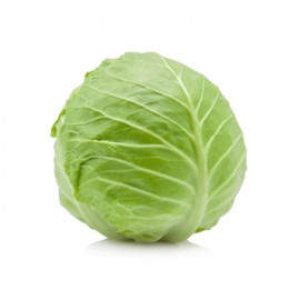 Beijing Cabbage / Kubis China / 北京包菜 (1KG+-)