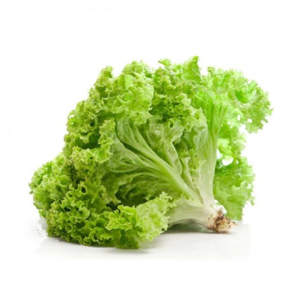 Salad Green / 青生菜 (piece)
