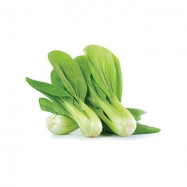 Siu Pak Choy / Sawi Kecil / 小白菜 (400g+-) 2-4颗