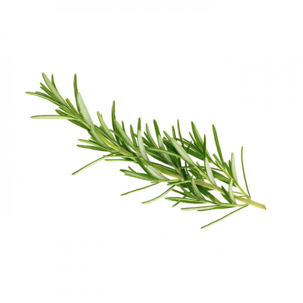Rosemary 迷迭香 (100g)
