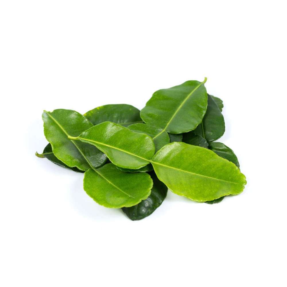 Kaffir Lime Leaf / Daun Limau / 酸柑叶 (50g)