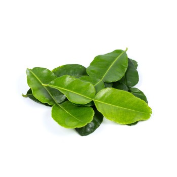 Kaffir Lime Leaf / Daun Limau / 酸柑叶 (50g)