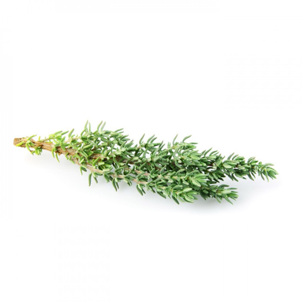 Thyme 麝香草 (100g) 1 day to prepare