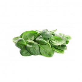 Baby Spinach Salad / 嫰菠菜 (200g)