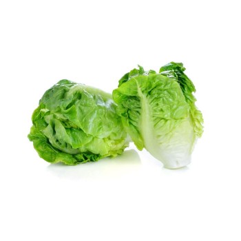 Baby Romaine / Yomaidan / 油麦旦 (500g+-) 2pcs/2颗