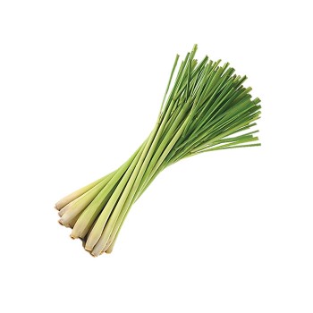 Lemongrass / Serai / 香茅 (500g+-)