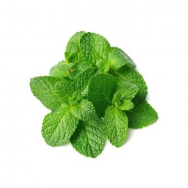 Mint Leaves / Pudina / 薄荷叶 (200g)