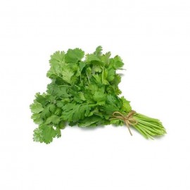 Coriander / 香菜 (100g)