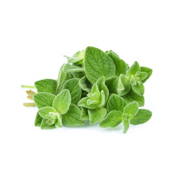 Oregano (100g)
