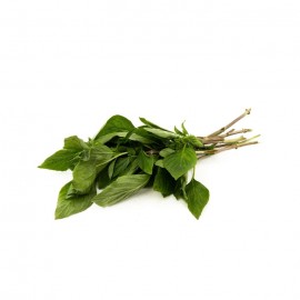 Thai Basil Leaf 九层塔 (50g)