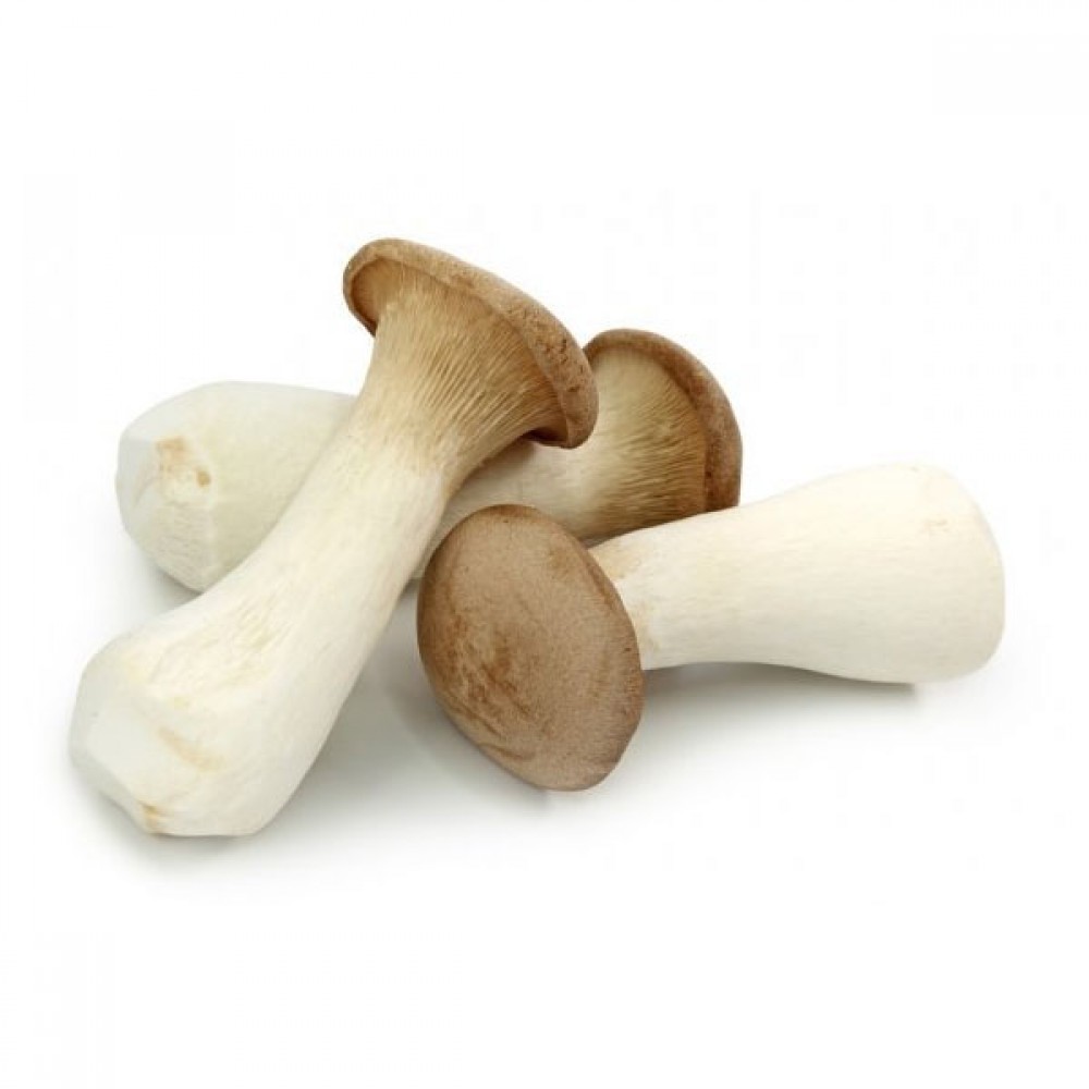 King Oyster Mushroom / 杏鲍菇 (250g/pack)