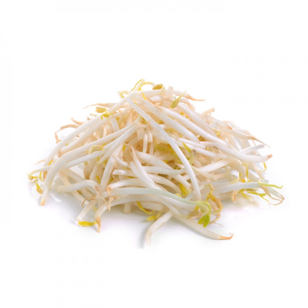 Bean Sprout / 豆芽 (500g)