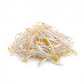 Bean Sprout / 豆芽 (500g)